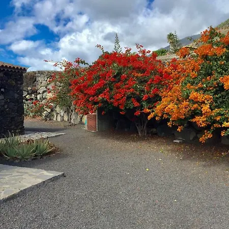 Llanos Negros Lantgård *